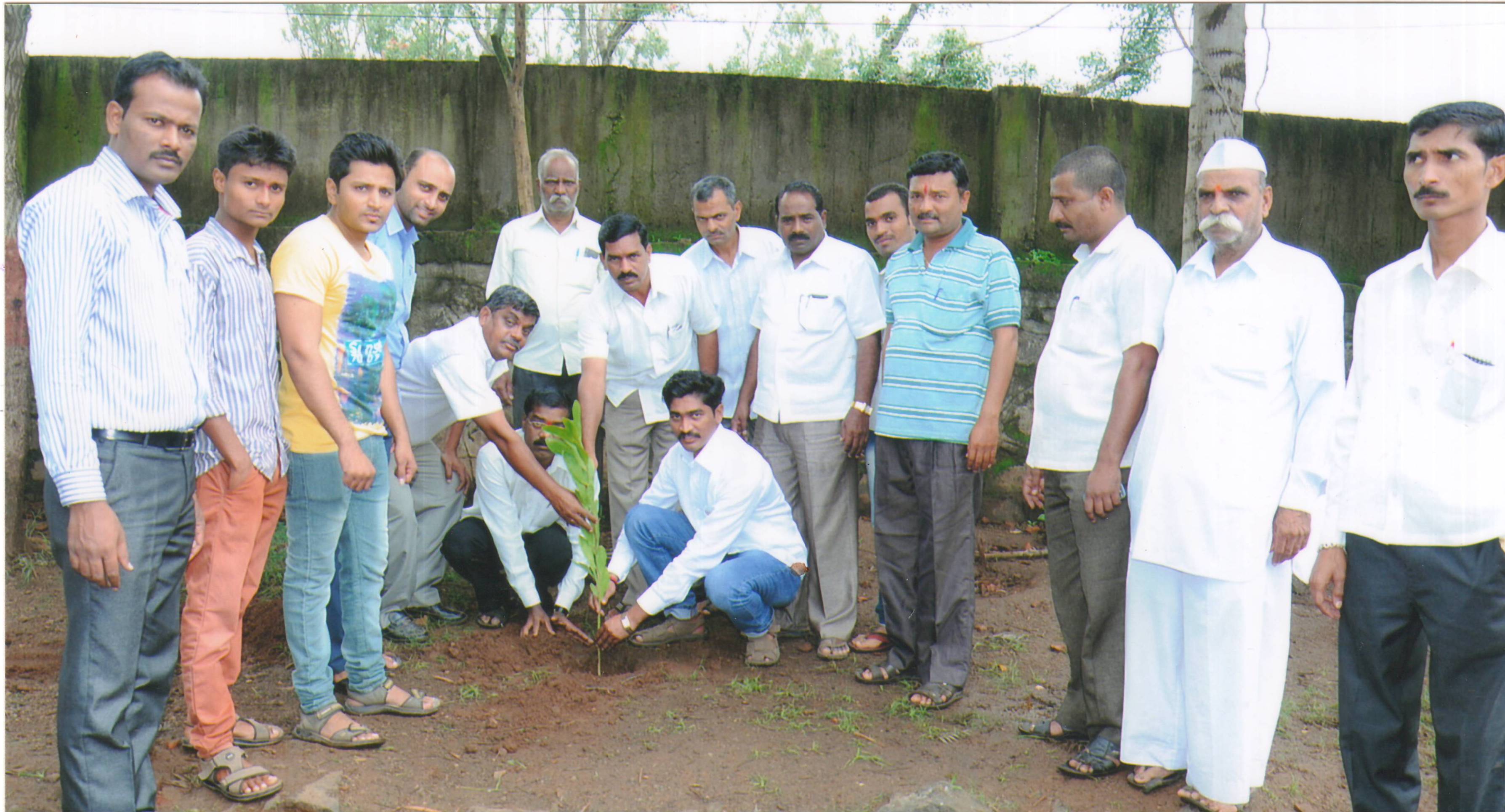 Tree plantation activity